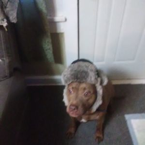 Meet your Posher, Dawson